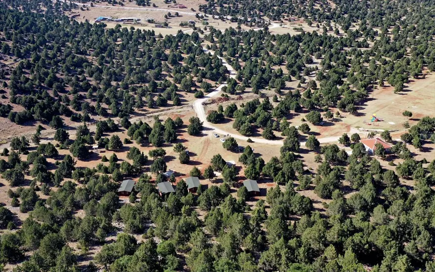 Konya'nın 'yayla cenneti' Anamas Dağı 1