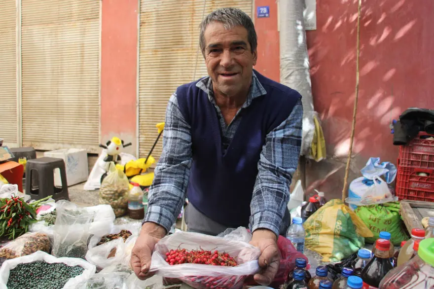 Aydın'ın dağlarında yetişiyor: "Süper yiyecek" pazara indi Aydın'ın dağlarında yetişiyor: "Süper yiyecek" pazara indi