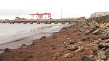 Sahil kırmızı yosunla kaplandı