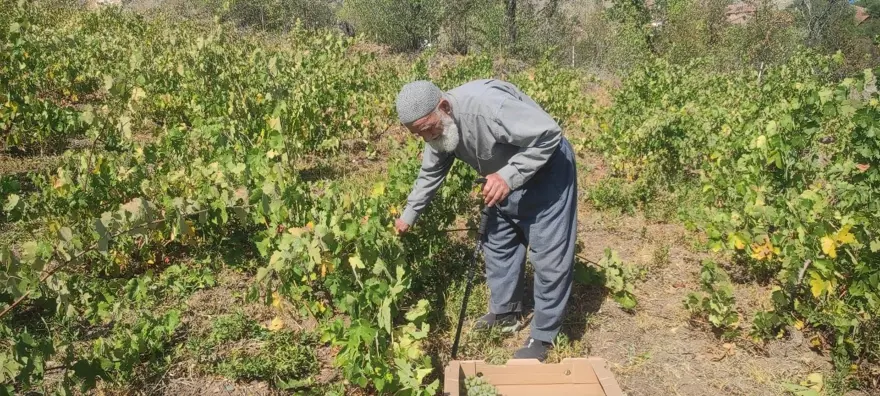 Kazanlar kaynamaya başladı: 800 liradan satılıyor 4
