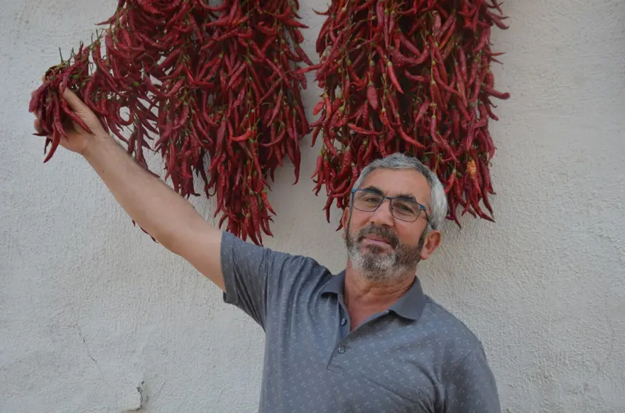 Ona "kırmızı altın" da deniyor: 160 yıldır aynı tohumdan  üretiyorlar 2