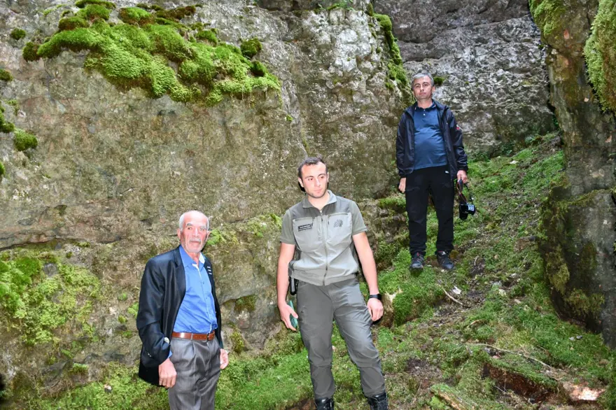Bin 700 rakımlı zirvede: Görenleri şaşırtıyor Bin 700 rakımlı zirvede: Görenleri şaşırtıyor