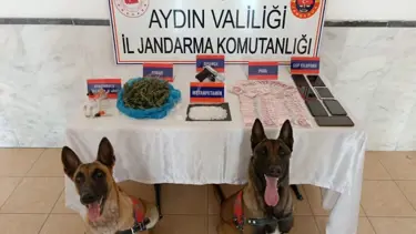 Aydın’da uyuşturucu operasyonu