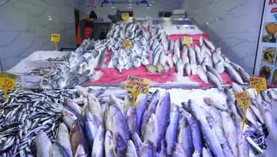 Tezgahların gözdesi somon ve istavrit