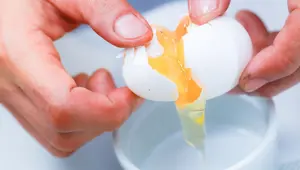 Yumurta yemek ne zaman tehlikeli olur? (Yumurta yerken nelere dikkat edilmeli?) Yumurta yemek ne zaman tehlikeli olur? (Yumurta yerken nelere dikkat edilmeli?)