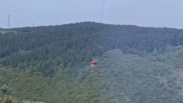 Sultangazi Kent Ormanı'nda yangın