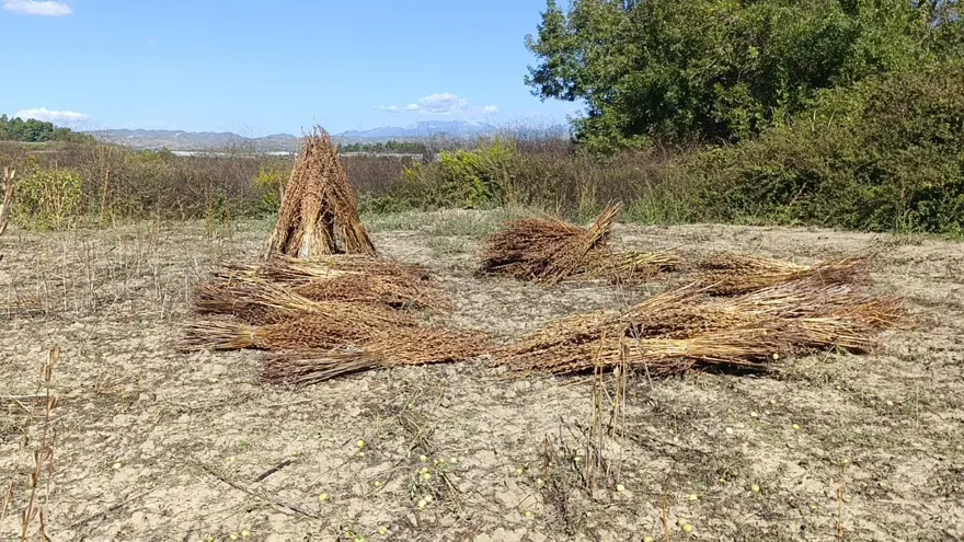 "MOTOSİKLETLE GELİP SUSAMI ÇALMIŞLAR" 3