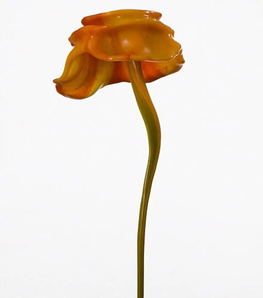 Tablo gibi çiçekler 7