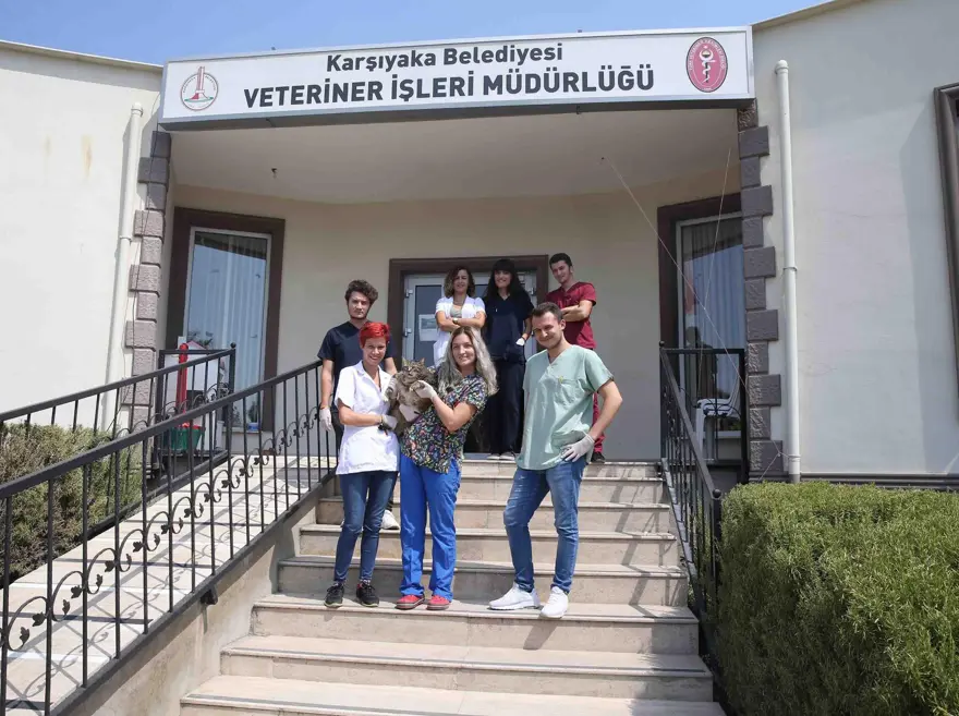 Obez kedi 'Taci' diyete başlatıldı 5