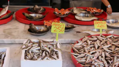 Av sezonu sona erdi: Tezgahlar çeşitlendi