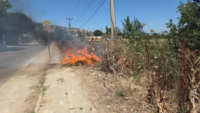 Bursa'da otluk alanda yangın