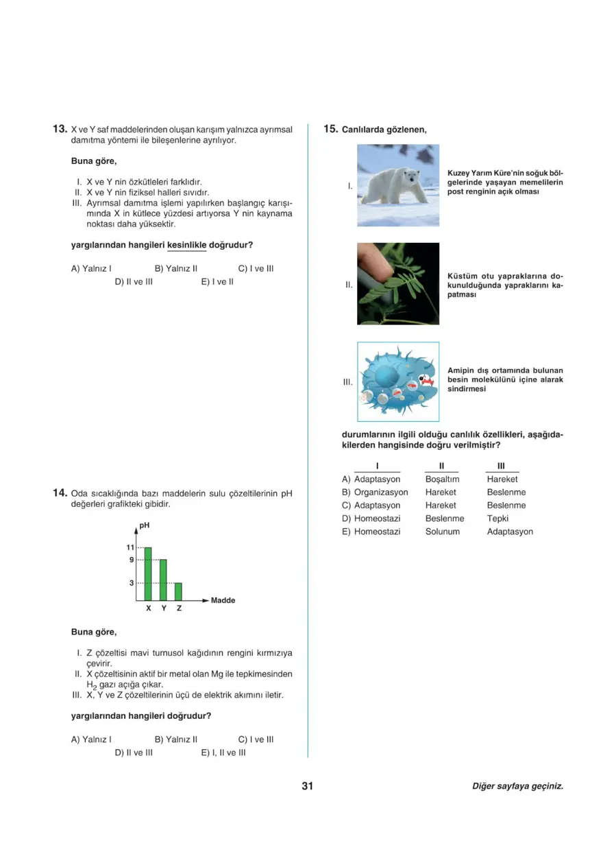 Uğur Okulları TYT -2 deneme sınavı 30