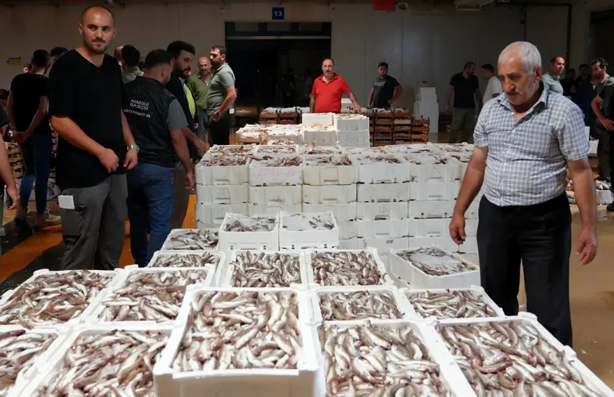 Balıkçıların palamut mutluluğu 13