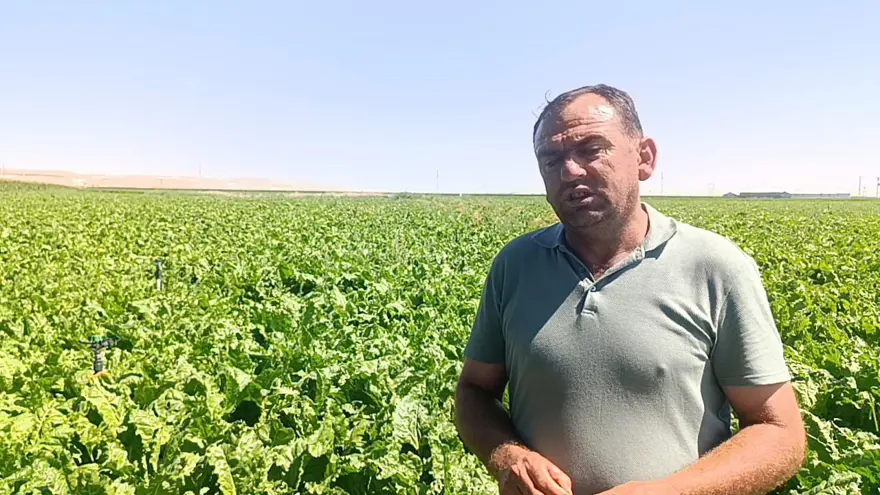 Aynı tarlada ikinci kez obruk oluştu 3