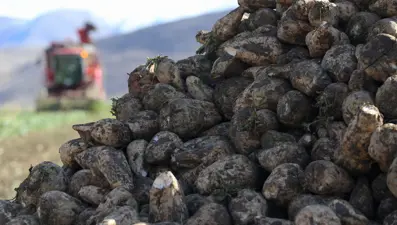 Yüzde 40 arttı: Çiftçilerden rağbet görüyor