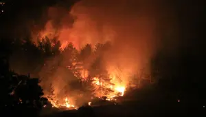Üç kentte 9 noktada yangın: Bodrum'da iki mahalle tahliye edildi