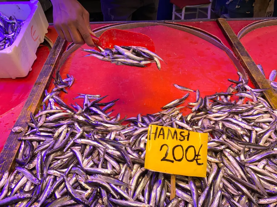 Satışlar yoğunlaştı, av yasağı tezgahlara yansıyacak: "Bu süreçte balık fiyatları artacak" 