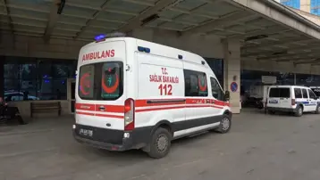 Kardeş kavgası kanlı bitti