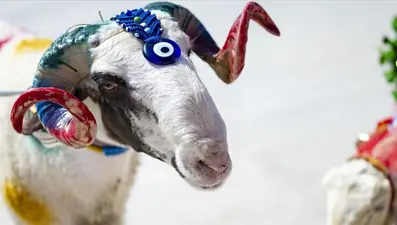 2026 Kurban Bayramı ne zaman idrak edilecek? Diyanet takvimine göre Kurban Bayramı tarihleri belli oldu