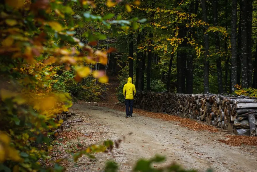 Doğa ve fotoğraf tutkunları, sonbahar renklerine bürünen Domaniç'te buluştu 14