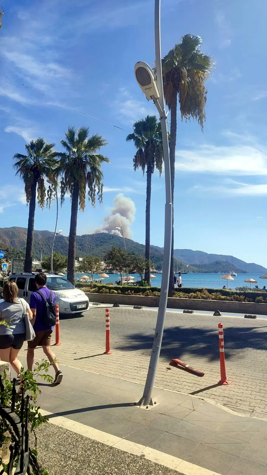 Marmaris'te orman yangını 14