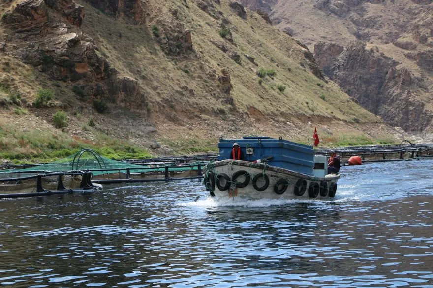 Elazığ'dan dünyaya Türk Somonu 25