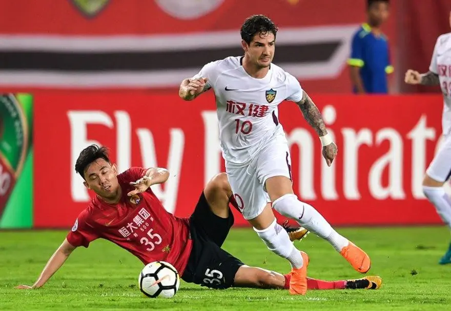 PATO MÜJDESİ 4 PATO MÜJDESİ 4