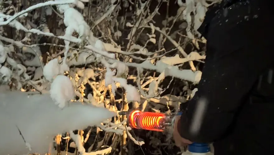 "Kahverengi kokarca" istilası olumsuz etkiledi: 3'lü zarar, 50 bin ton kayıp var 1