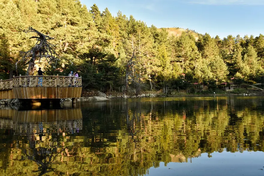 Zigana Dağı eteklerinde bir doğa harikası: Limni Gölü Tabiat Parkı 10