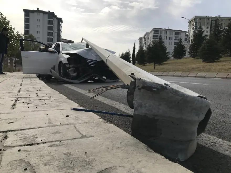 Otomobile giren sinek kazaya neden oldu 2