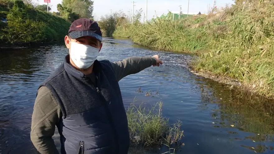 "BU BİR SUÇTUR, YETKİLİLERİ GÖREVE ÇAĞIRIYORUZ" 5