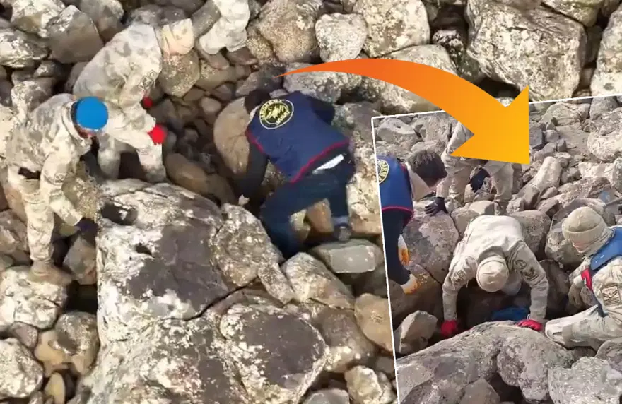 Jandarma didik didik aradı, hepsi taşların arasından çıktı 