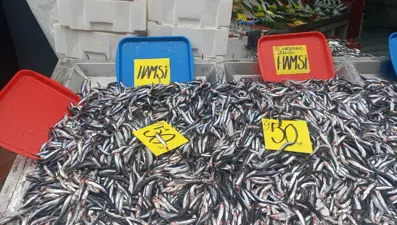Hamsinin kilosu 50 liraya kadar düştü