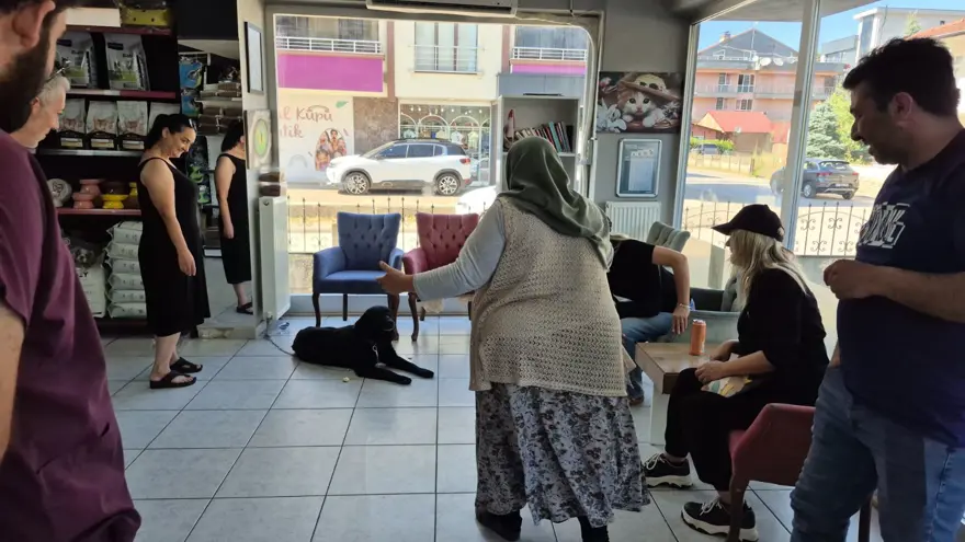 Barınağa götürülen köpeğine 1 yıl sonra kavuştu 1