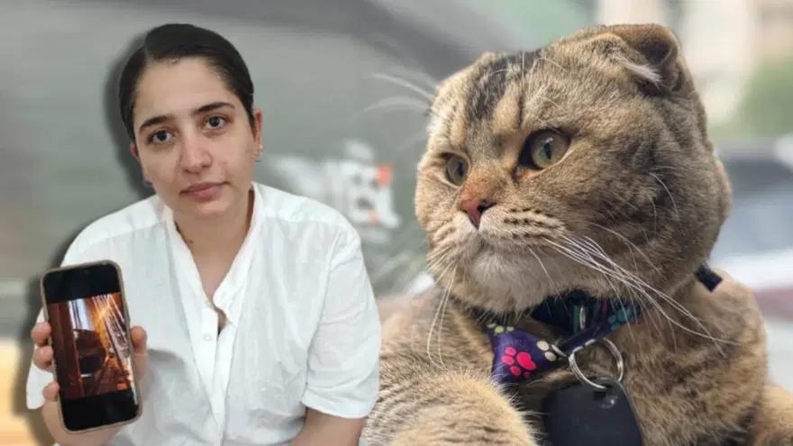 Bu evliliğin kaderi kediye bağlı: "Eşim beni boşayacak" 