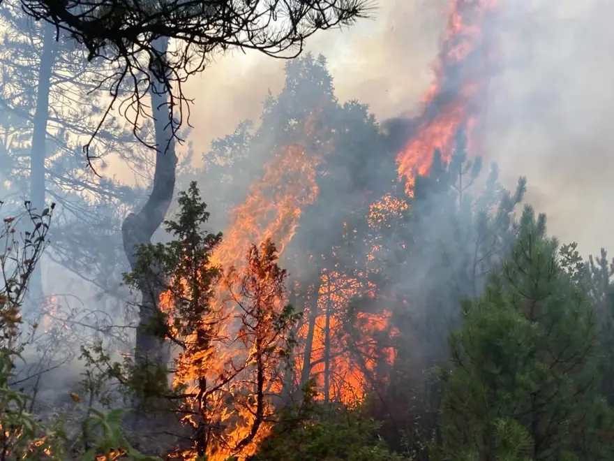 Eskişehir’de orman yangını 1