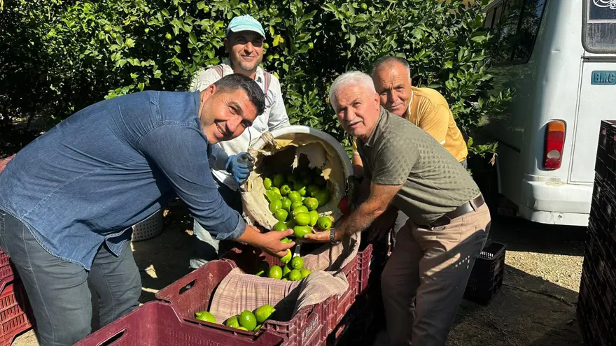 Limonun ihracat yolculuğu başladı 