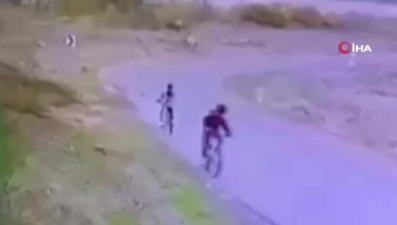 Ankara'da bisikletli çocuğa başıboş köpek saldırdı