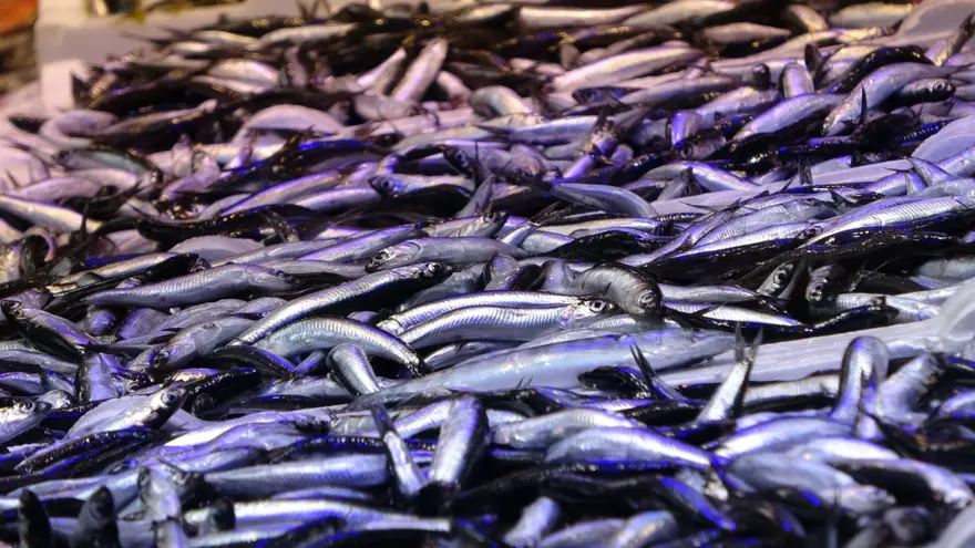 3 kilosu 200 TL'ye düştü, yoğun ilgi var: Tuzlama zamanı başladı 4 3 kilosu 200 TL'ye düştü, yoğun ilgi var: Tuzlama zamanı başladı 4