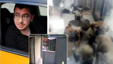 Yavru köpeklere cinsel istismarda bulunmuş