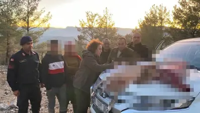 Mersin'de yaban keçisi avına 673 bin 766 lira ceza