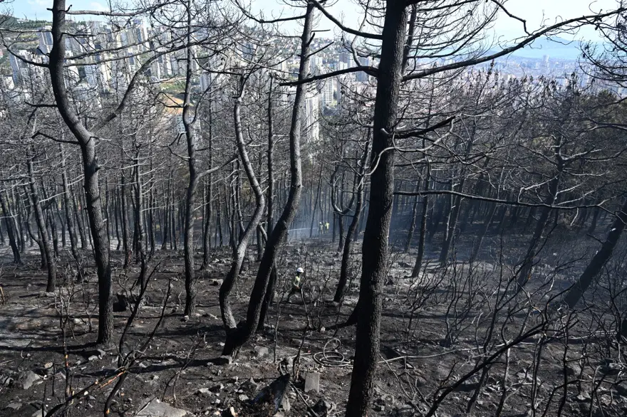 İstanbul Maltepe'de orman yangını 5