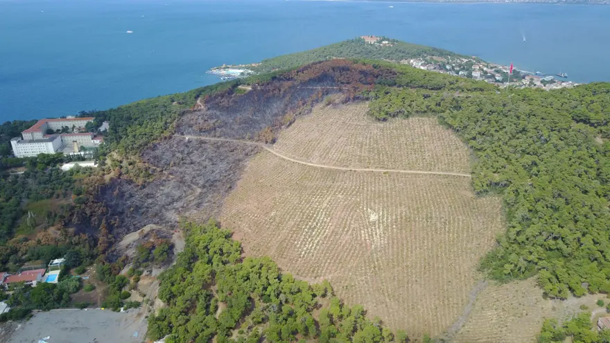 Heybeliada&#x27;da 1700 ağaç yandı: Yeşillendirme çalışması başladı 