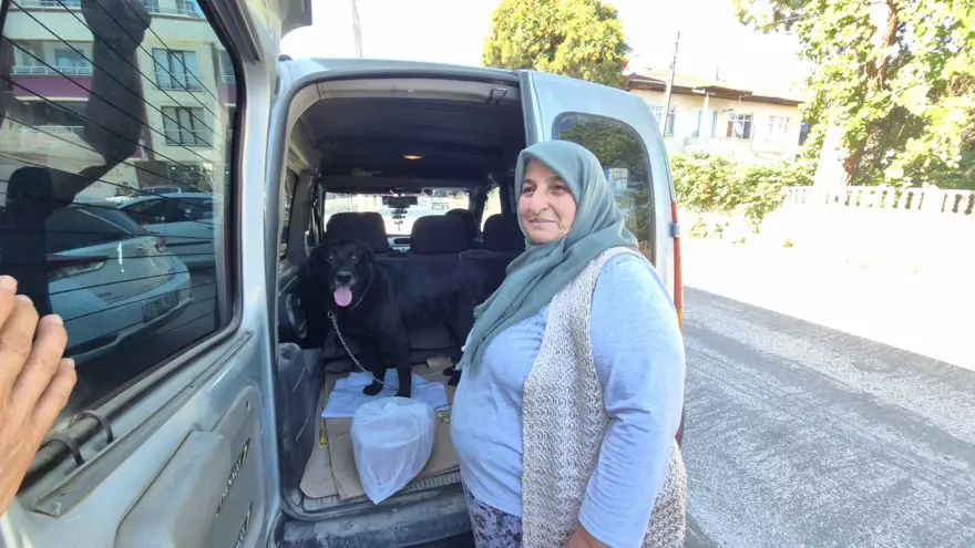 Barınağa götürülen köpeğine 1 yıl sonra kavuştu 