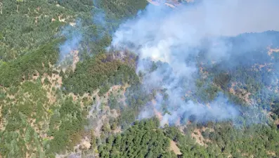 4 ilde orman yangını: Alevler kontrol altına alındı