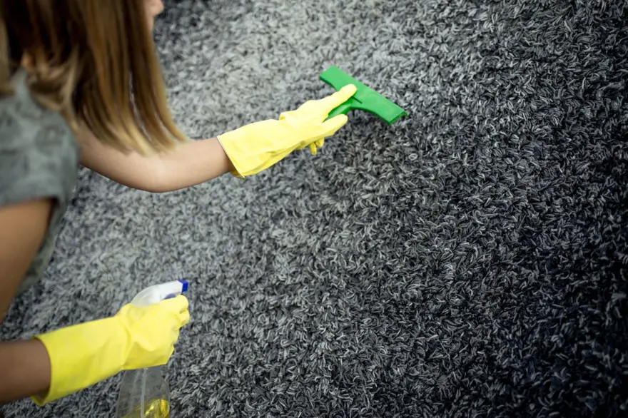 7- HALILARI SİLECEKLE TEMİZLEYİN 6