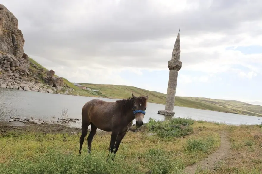 Eşsiz güzelliğiyle göz kamaştırıyor! Her mevsim ilgi görüyor 3