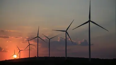Yenilenebilir enerji 2030'da dünya elektrik talebinin yarısını karşılayabilir