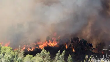 TEİS'ten "yanık kreminde fiyat artışı" iddialarına ilişkin açıklama
