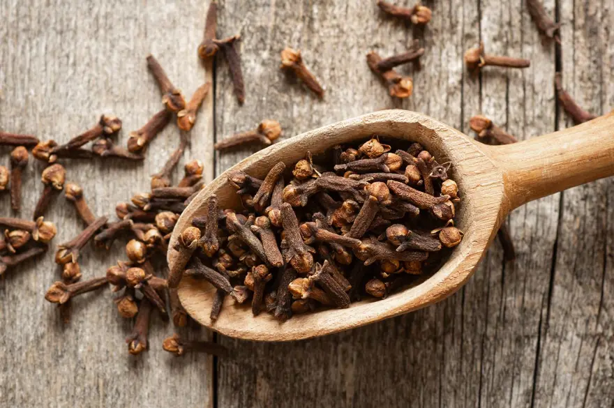 Kilo vermenin hızlı yolu: Karanfil 5